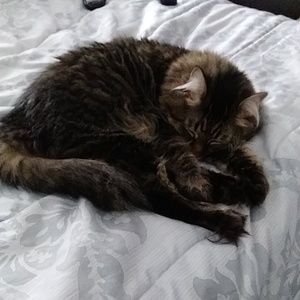 Meet your Posher, Patty